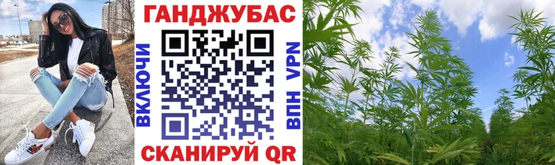 Шишки марихуана конопля  kraken зеркало  Верея  как найти  